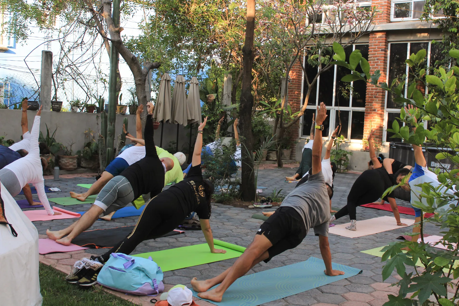 Clase de yoga en el jardín, bajo los árboles